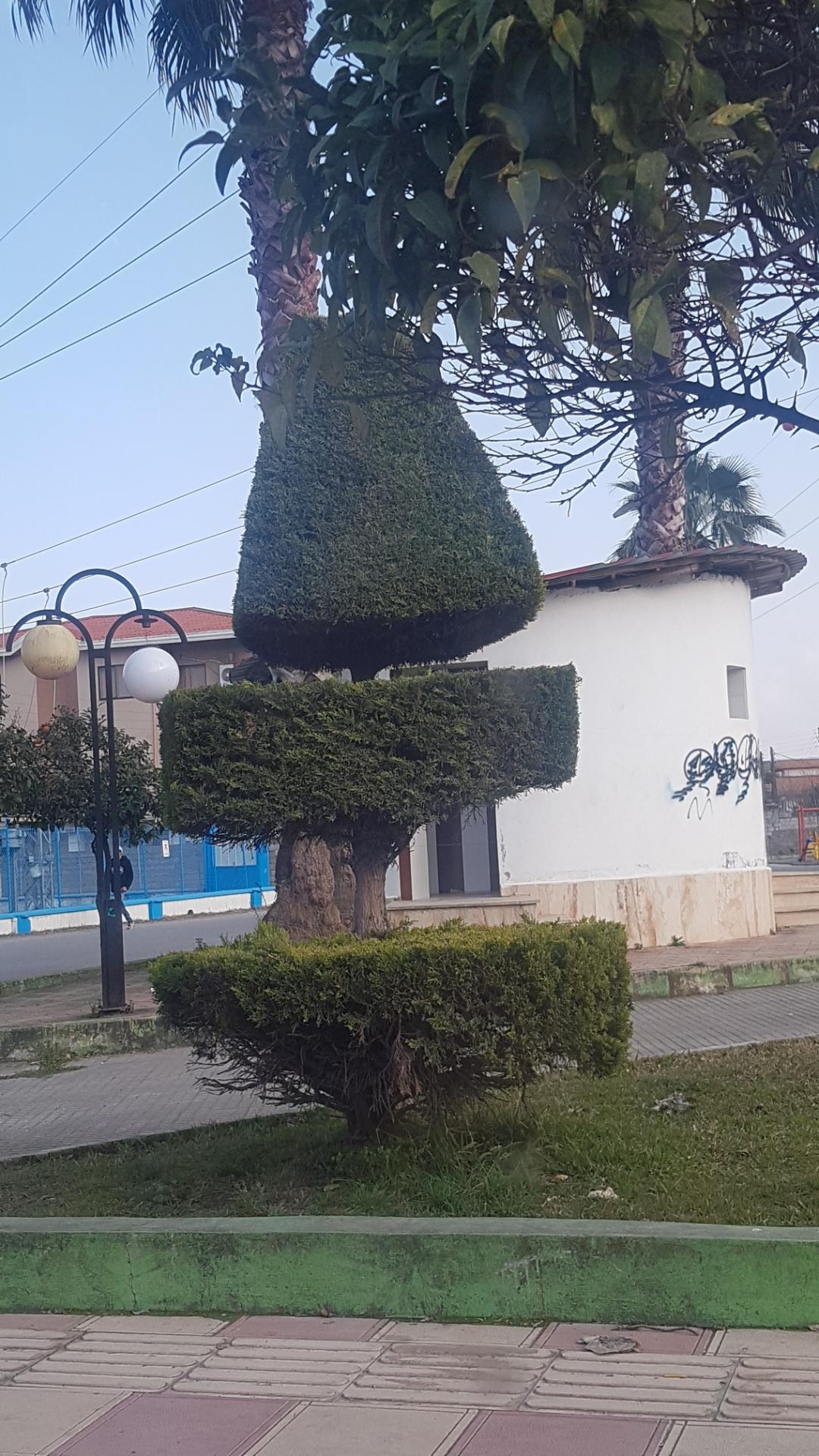 عکس سرویس بهداشتی