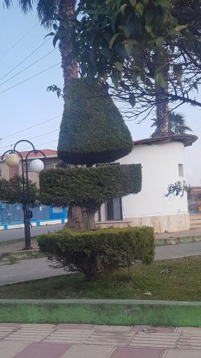 عکس سرویس بهداشتی