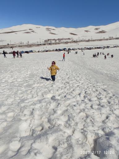 عکس سورشجان