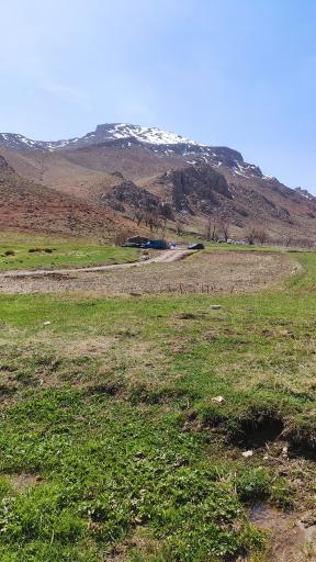 عکس سورشجان