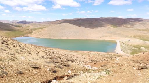 عکس سورشجان