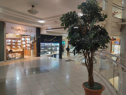 عکس چینی و آرکوپال ۳۲۱