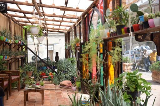 عکس گلخانه گلشن گنج پنهان