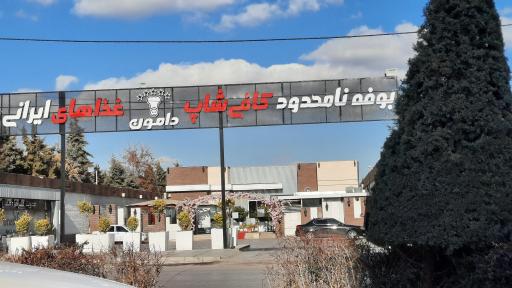 عکس مجموعه غذایی دامون