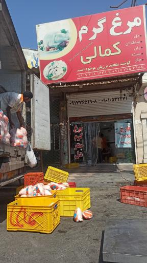 عکس مرغ گرم کمالی