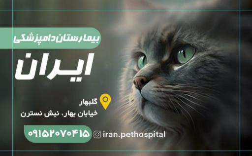 عکس بیمارستان دامپزشکی ایران 