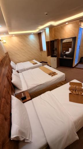 مهمانپذیر عالی نو