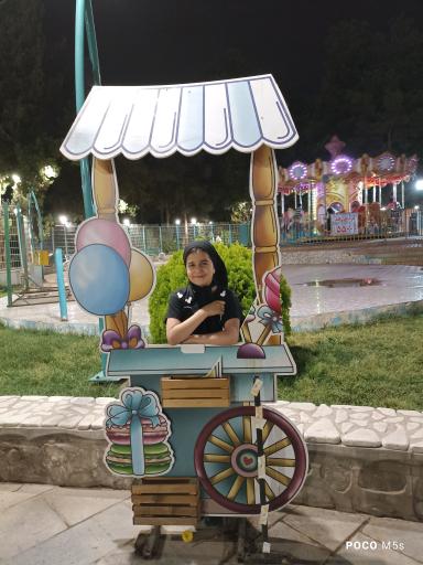 شهربازی پارک شادی