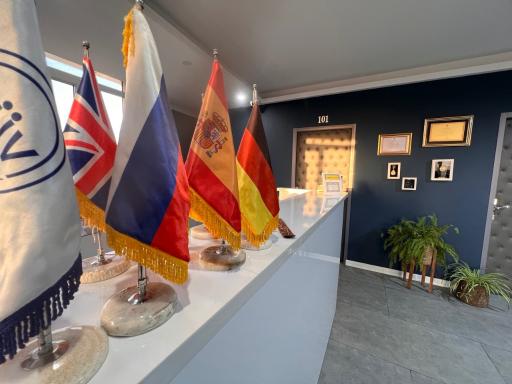 عکس مؤسسه زبان خارجه آلفابت