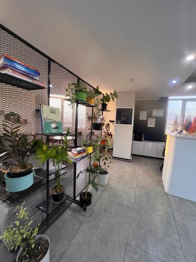 عکس مؤسسه زبان خارجه آلفابت