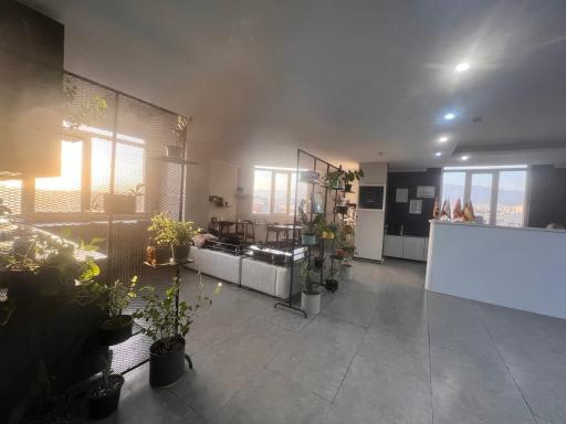 عکس مؤسسه زبان خارجه آلفابت