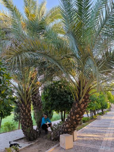 عکس باغ جهان نما