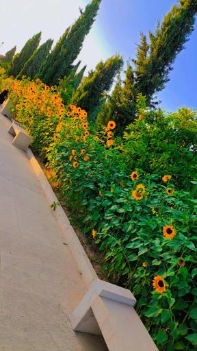 عکس باغ جهان نما