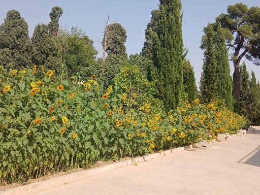 عکس باغ جهان نما