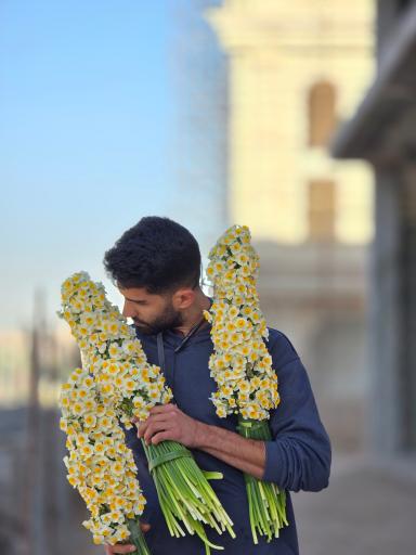 عکس گل یخ