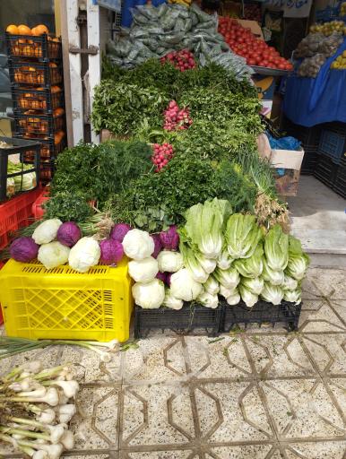 عکس میوه سید