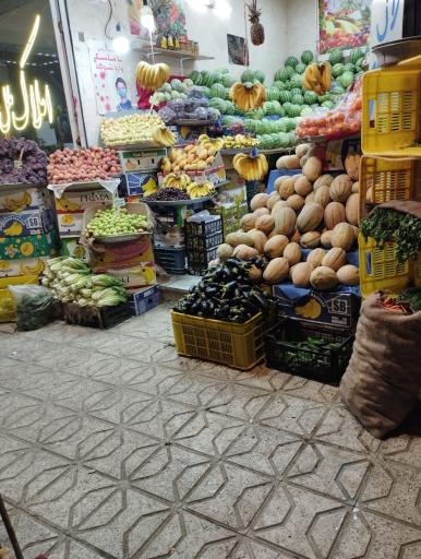 عکس میوه سید