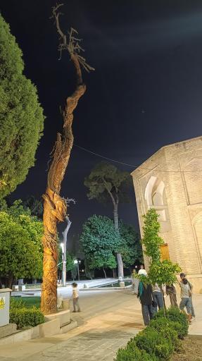 عکس باغ جهان نما