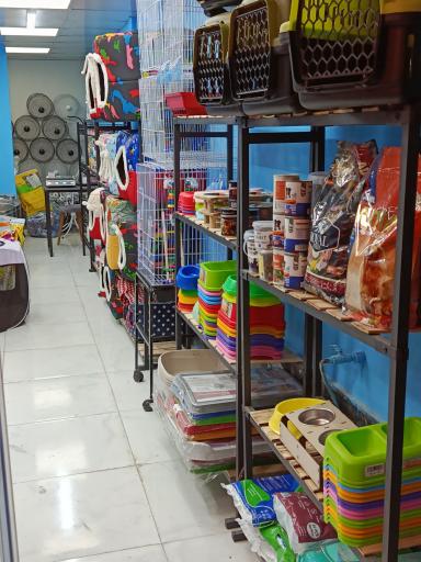 عکس کندی پت شاپ