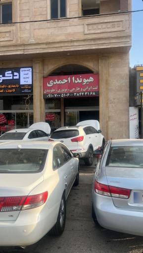 عکس لنت ترمز احمدی