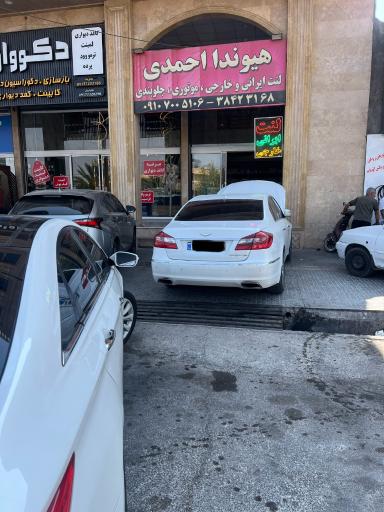 عکس لنت ترمز احمدی