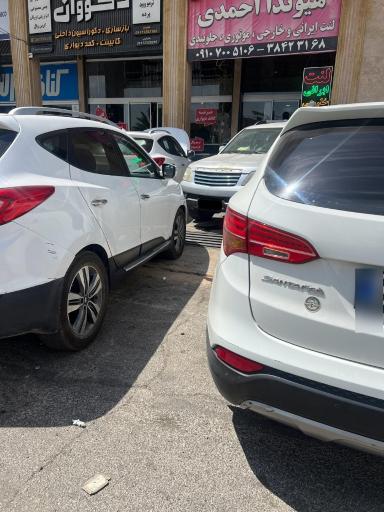 عکس لنت ترمز احمدی