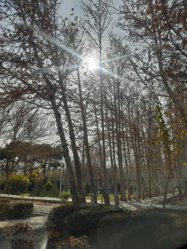 عکس پارک سلمان فارسی