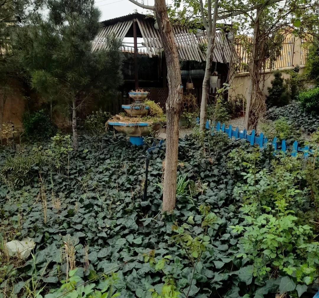 عکس آلاچیق باصفا بلوک یک 