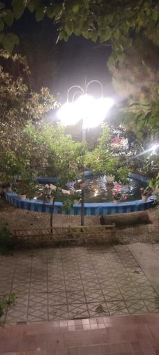 عکس هنرخانه درخت