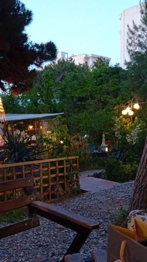 عکس هنرخانه درخت