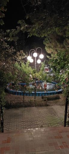 عکس هنرخانه درخت