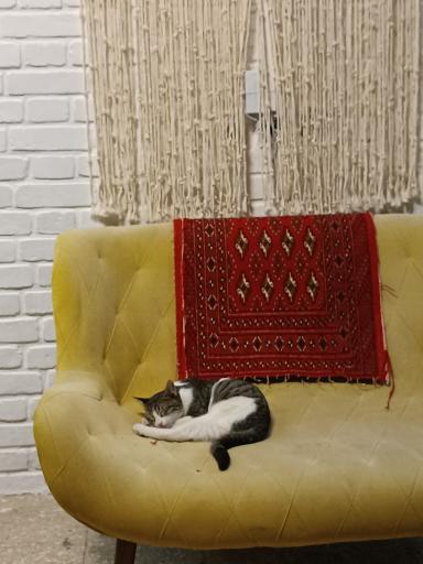 هنرخانه درخت