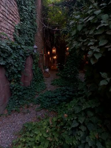 عکس هنرخانه درخت