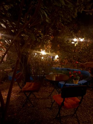 هنرخانه درخت