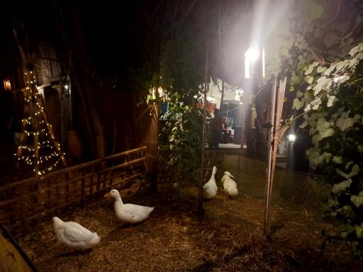 هنرخانه درخت