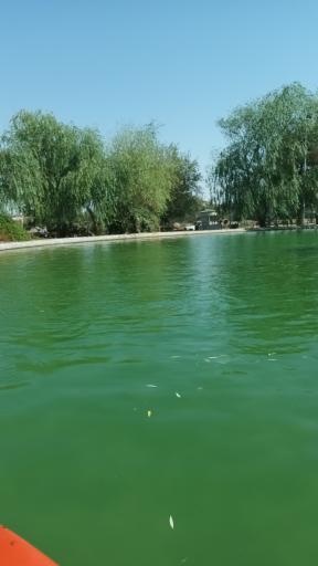 عکس دریاچه مصنوعی کوهسنگی