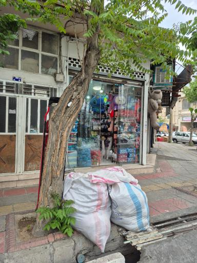 عکس عروسک فروشی ان بی تویز