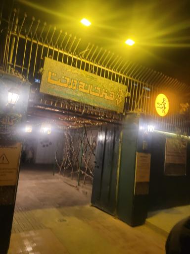 عکس هنرخانه درخت