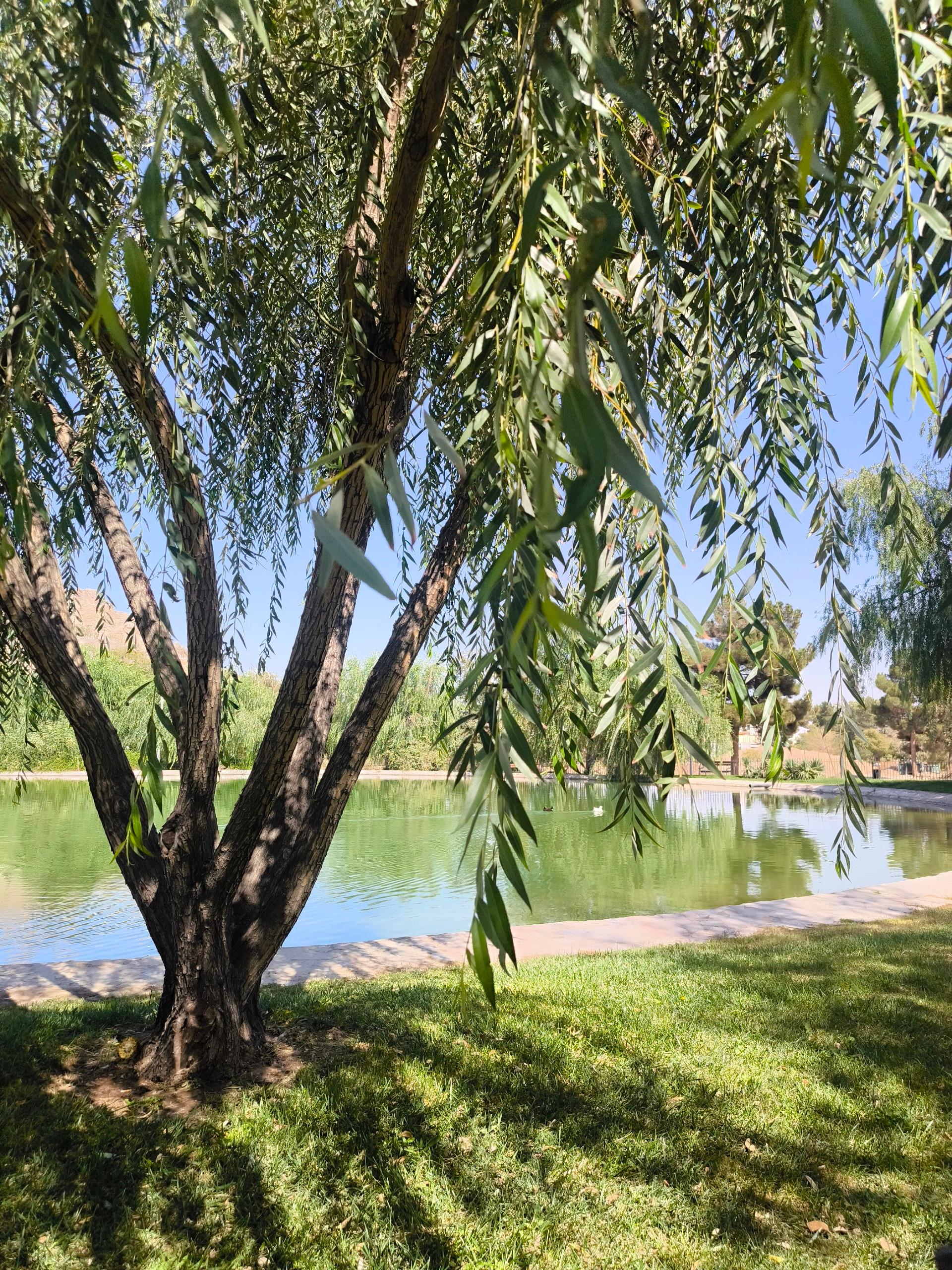عکس دریاچه مصنوعی کوهسنگی