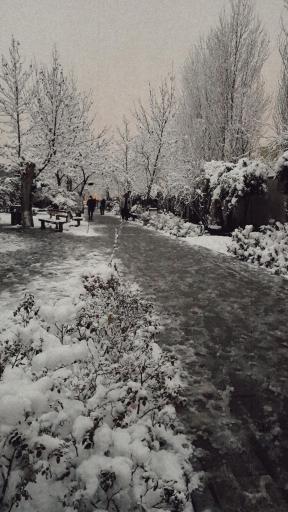 عکس بوستان آرامش (بازیافت)