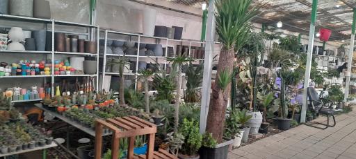 عکس بازار گل و گیاه زنجان