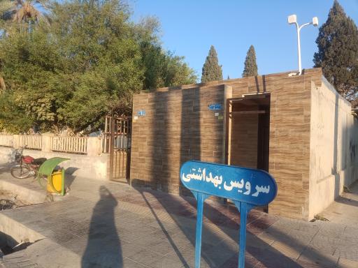 سرویس بهداشتی