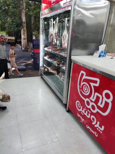 عکس نیکا پروتئین