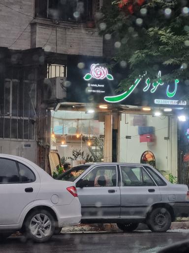 عکس گل ملودی