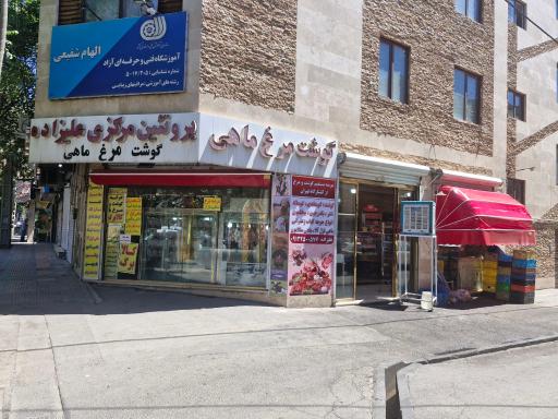عکس پروتئین مرکزی علیزاده