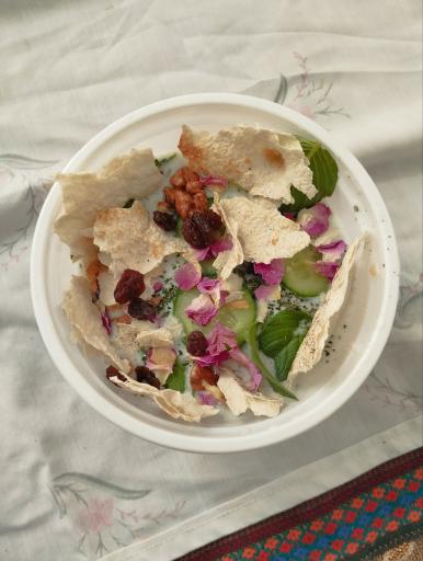 عکس غذای خانگی پناه