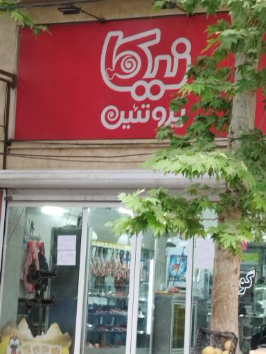 عکس نیکا پروتئین