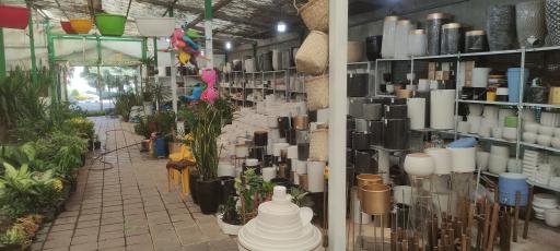 عکس بازار گل و گیاه زنجان