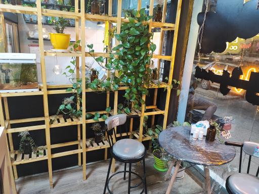 عکس ساندویچ سردویچ آویژه 