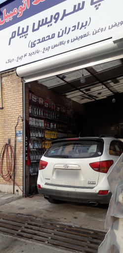 عکس تاپ سرویس پیام برادران محمدی 